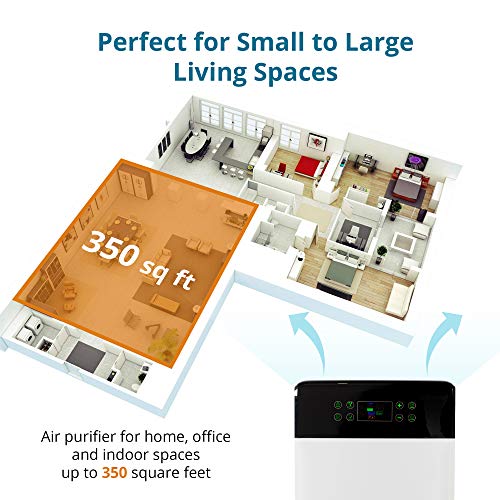 Aviano AV890 7-in-1 Smart Home Air Purifier w/True HEPA Filter for Large Room (350sqft) | Great for Smokers, Pets, Allergies | Filters Pet Hair, Dust, Allergens, Mold, Germs, Odor & Smoke Eliminator