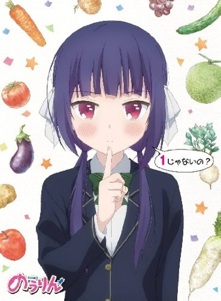 一部を除き未開封 のうりん DVD 全6巻 初回生産 文庫本