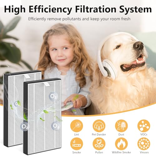Image of 2 Packs F1 Replacement Air Filter Compatible with 3M Filtrete FAP-C01-F1, FAP-T02-F1, FAP-C01BA-G1, FAP-T02WA-G1, FAP-ST02W and FAP-ST02N Room Air Purifi-er