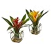 Nearly Natural 6898-S2 Bromeliad Pair with Glass Vase Arrangement (Set of 2)