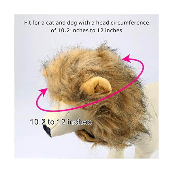 Idepet dog cat lion mane - realistic funny lion mane for dogs - complementary lion mane hat for dog cat costumes,halloween lion mane costume for cat & dog (cat lion mane) - image 7