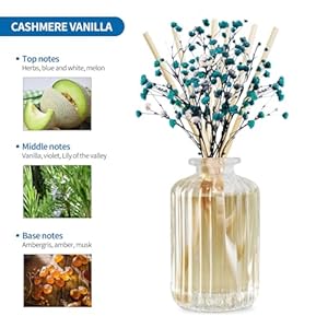 Reed diffuser set with preserved real flowerreed diffuser sticks59ozcashmere vanilla scent fragrance essential oil scented diffuser for bedroom bathroom home decoroffice decor  urban country home decor