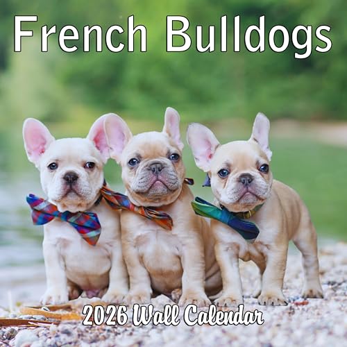 2026 French Bulldogs Monthly Hangable Wall Calendar | 12" x 24" |...