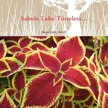 Paperback Sabula Lake Timeless... Book
