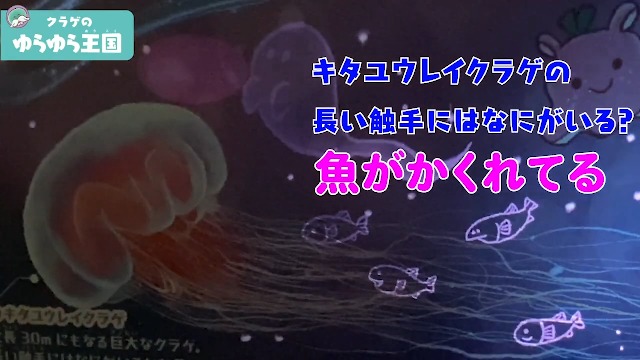 Amazon.co.jp: ブラックライトでさがせ！深海の不思議な生きもの : 新