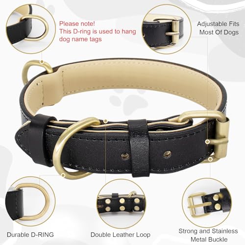 Dote on Hundehalsband und Leine, verstellbar, echtes weiches Leder, gepolstert, für kleine, mittelgroße und große Hunde, Größe L (43–54 cm), Schwarz)