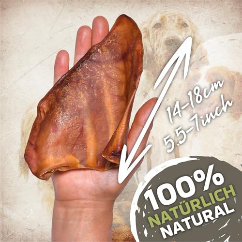 Schweineohren für Hunde 20 Stück (800g) | Ganze getrocknete Schweineohren Kauartikel | 100% natürlich | Langanhaltender Kauspaß | Getreidefrei | Ideal für kleine & große Hunde