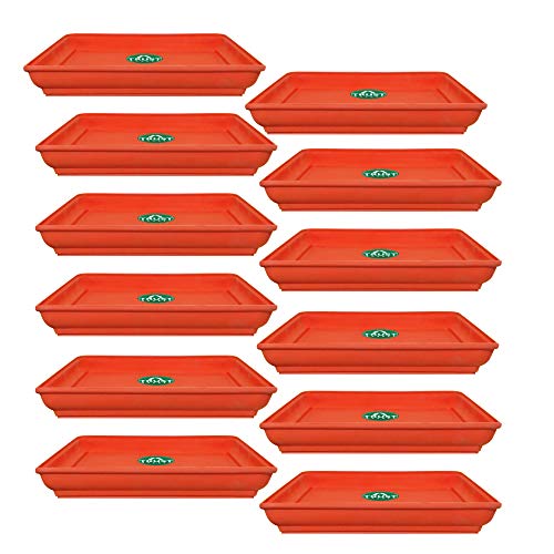 TrustBasket UV Treated Square Bottom Tray(Plate/Saucer) Suitable for 10 inch Square Plastic Pot - Terracotta Color - Set of 12 | Heavy Duty Highly Durable Plant saucer Gamla for Indoor Home Decor & Outdoor Balcony Garden