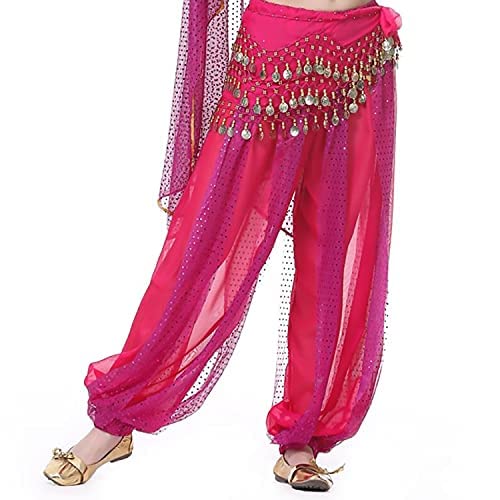 Image of VRITRAZ Women's Chiffon Belly Dance Heart Design Chiffon Top, Harem Pants And Hip Scarf Ringy Fancy Pants (Pink)