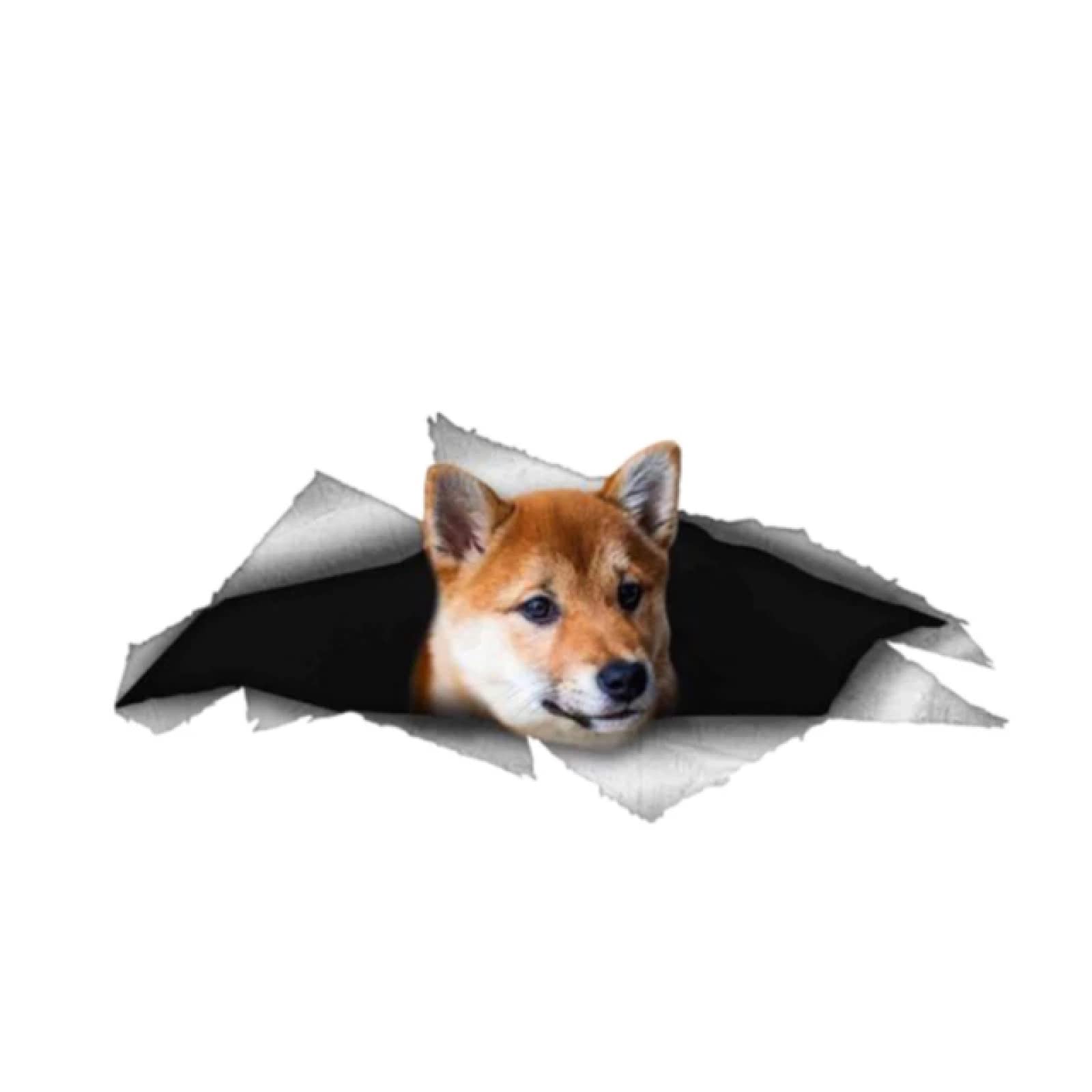 Avertissement : Cette Propriété Est Protégée Par Son Mari