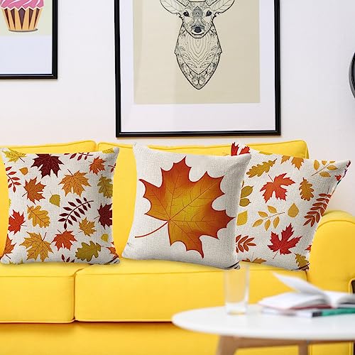 4 federe decorative per cuscini da divano, in