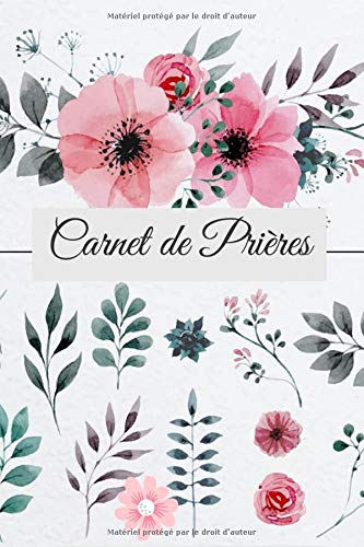  Mon Carnet de prières: 99 jours pour organiser votre lecture de la Bible, noter vos prières, vos g Francais PDF