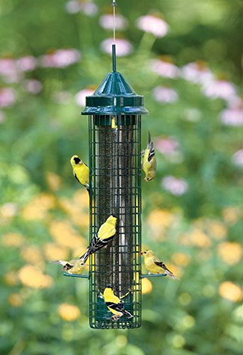 Squirrel-Buster-Finch-Squirrel-proof-Bird-Feeder-w4-Metal-Perches-8-Feeding-Ports-24-pound-ThistleNyjer-Seed-Capacity Squirrel Buster Finch Squirrel proof Bird Feeder w4 Metal Perches 8 Feeding Ports 24 pound ThistleNyjer Seed Capacity