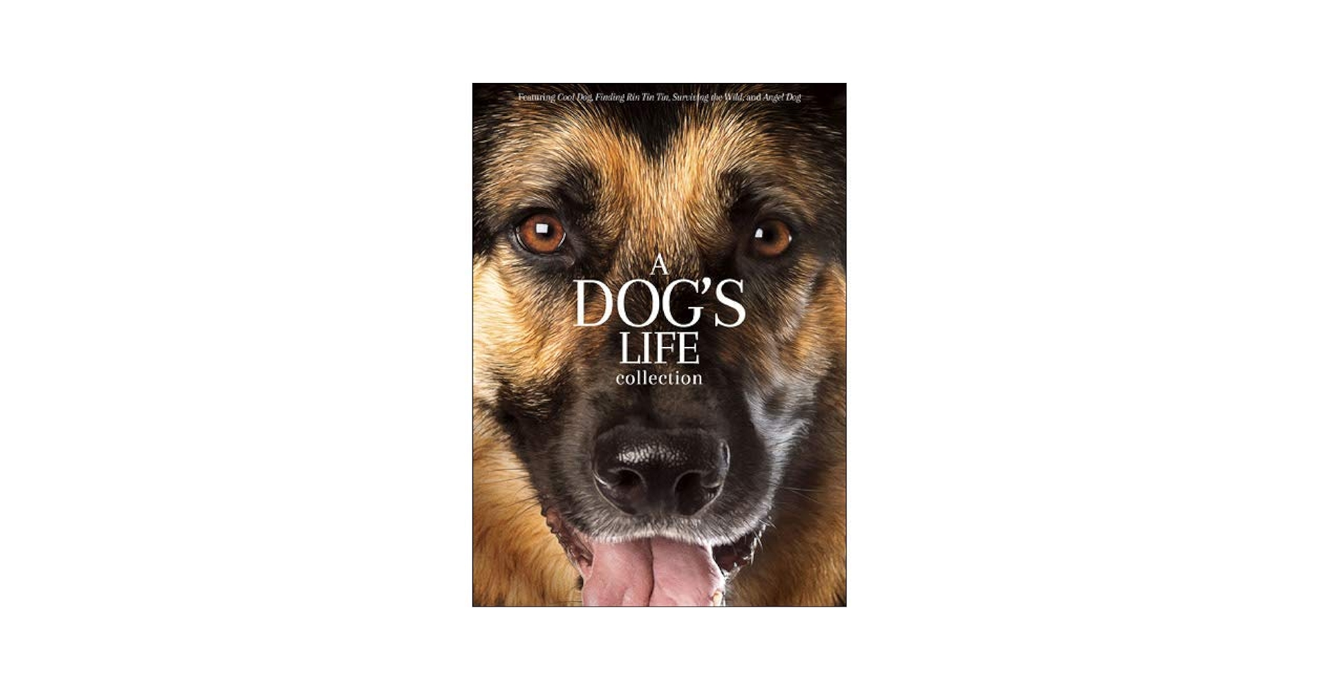 その他 Dogs: 10-Movie Adventure Collection [DVD] Amazon.com: Dogs 10-Movie Adventure Collection [DVD] : Britt