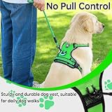 NESTROAD Hundegeschirr Kleine Hunde Grün, Anti Zug Geschirr Gepolstert Brustgeschirr für Kleine Hunde, Größe S Halsumfang 28~38CM Brustumfang 38~53CM, Reflexstreifen Brustgeschirr Hund