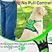 NESTROAD Hundegeschirr Kleine Hunde Grün, Anti Zug Geschirr Gepolstert Brustgeschirr für Kleine Hunde, Größe S Halsumfang 28~38CM Brustumfang 38~53CM, Reflexstreifen Brustgeschirr Hund