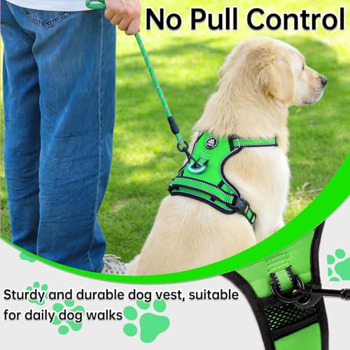 NESTROAD Hundegeschirr Kleine Hunde Grün, Anti Zug Geschirr Gepolstert Brustgeschirr für Kleine Hunde, Größe S Halsumfang 28~38CM Brustumfang 38~53CM, Reflexstreifen Brustgeschirr Hund
