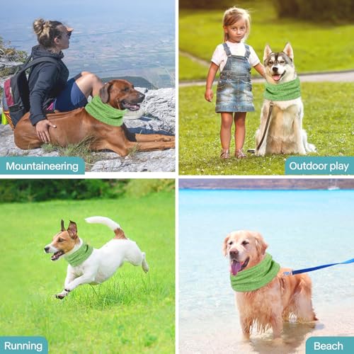 Kühlhalsband für Hunde, Kühlendes Hundehalstuch, Kühlender Hundeschal, Kühlendes Hundehalsband Kühlend, Kühltuch Hund Halstuch Kühlend, Bandana Hunde Halstücher Kühlend, für Kühlung Hund im Sommer