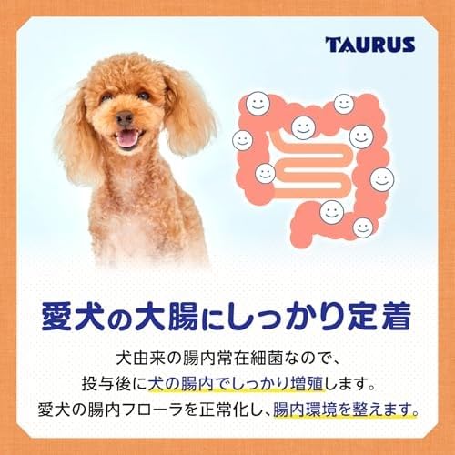 Amazon.co.jp: トーラス ペット愛犬用 犬由来ブフィズス菌 ドッグB&S