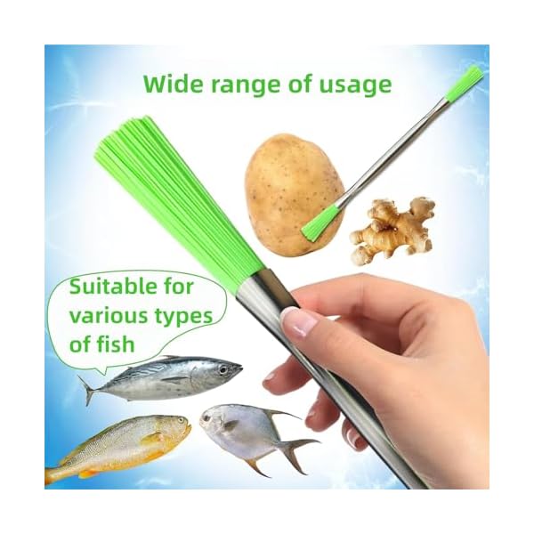 Premium Fish Bloodline Removal Brush Set of 3 - Multi-Purpose Kitchen & Home Cleaning Tools for Fish Prep, Hard-to-Reach Gaps, and Appliance Cleaning (Dual-End Design, Durable Bristles) - Image 5