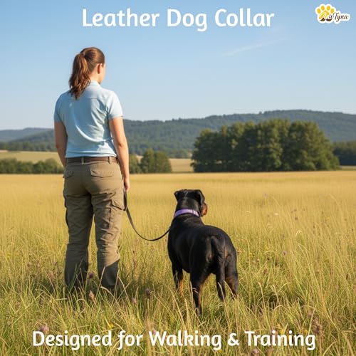 Image of ADITYNA Leather Dog Collar for Large & Extra Large Dogs, Adjustable 19-30 inch | Padded, heavy-duty metal buckle. Great for walking, training - ideal for Rottweiler, German Shepherd, Mastiff and Great Dane.