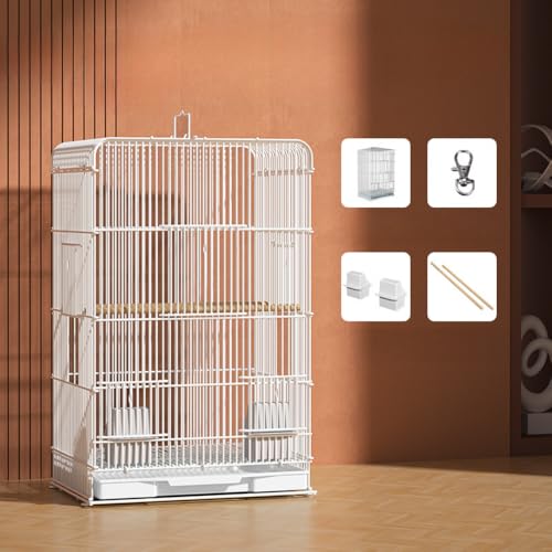 TIKHJ ^  ^P[W ZLZCCR   傫o[hQ[W uRt 傫P[W IJCR CR }n IJ IE   zCg (A)