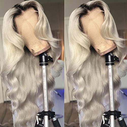 Andrai Hair Omber Gray Wavy Wigs Lace Front Wigs Dark Root 2 Tone Glueless Natural Wave Synthetic Heat Resistant Fiber Hair Wig With Baby Hair For Women 22 Inch