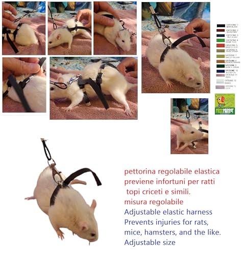 Arnés elástico para gecko y correa de 150 cm hecha en Italia 4
