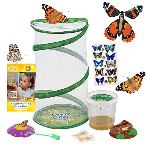 Insect Lore Butterfly Garden Gift Set 8' Habitat - Live Cup of 5 Caterpillars - Includes Stickers...