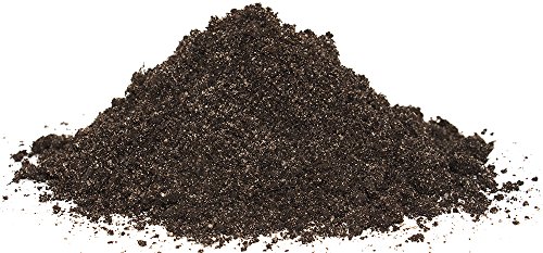 Floragard 4 in 1 Rasen-Fit 2x20 L für 20 m² • Rasenerde • Rasensubstrat zur Neuanlage • zur Ausbesserung und Pflege des Rasens • zum Topdressing nach dem Vertikutieren