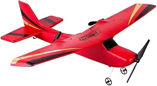 RKSTD RC Plane - Built-in 6 Axis Gyroscope Fixed Wing RC Glider, 2.4Ghz 2 Channels RC Plane Ready to Fly, Suitable for Kids and Adults, Stable Flying RC Plane for Beginners