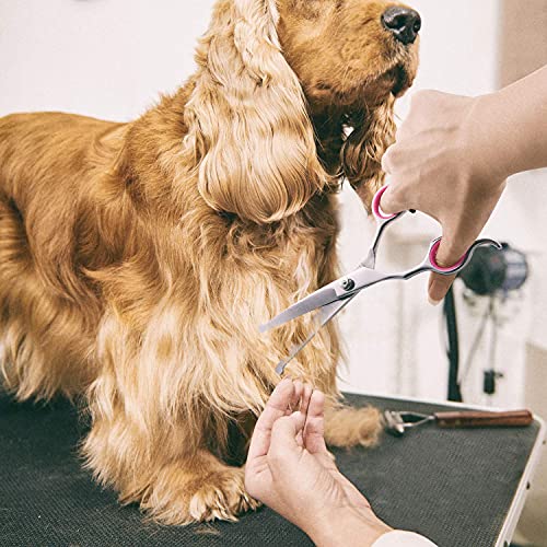 Image of Gimars Professional 4CR Stainless Steel 6 in 1 Grooming Scissors for Dogs with Safety Round Tip, Heavy Duty Titanium Coated Pet Grooming Scissor for Dogs, Cats and Other Animals
