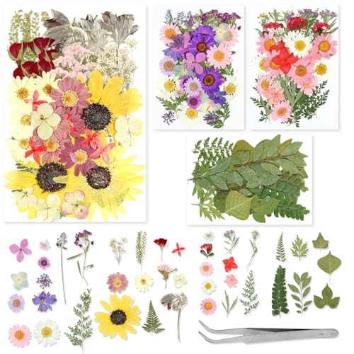 Juego de 152 flores secas prensadas para manualidades miniatura 5