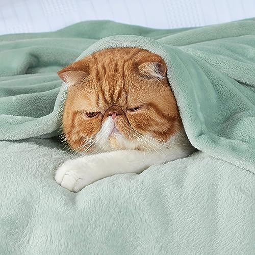 Image of Bedsure GentleSoft Sage Green Fleece Throw Blanket - 300GSM Soft Lightweight Plush Cozy Blankets for Bed, Sofa, Couch, Travel, Camping