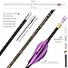 limaity 31 Inch Archery Pure Carbon Arrows 1.8