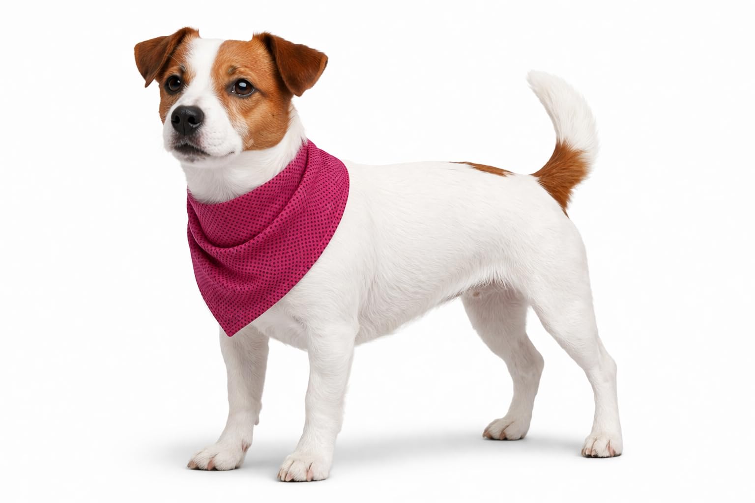 Cane Collare - bandana rinfrescante rosa S 52x22 cm - poliestere traspirante - effetto rinfrescante - 3 strati - assorbente - estate - tipo tappetino refrigerante cane