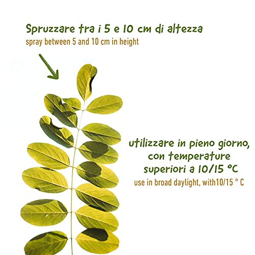 Turfmaster Urban Weed - Trockenspray, 1L Eco-Sustainable zur natürlichen Entfernung von Unkraut und unerwünschter Vegetation von Rasenflächen, Gärten, Gemüsegärten, Feldern, Büschen etc.