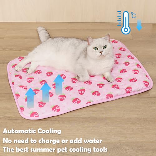 BAMY Cat Cooling Mat Summer Dog Silk Pad Self Cooling Cushion Washable Kitten Ice Blanket with Duck Strawberry Pattern (Pink Strawberry, S (19.7″x15.7″)) BAMY Cat Cooling Mat Summer Dog Silk Pad Self Cooling Cushion Washable Kitten Ice Blanket with Duck Strawberry Pattern (Pink Strawberry, S (19.7″x15.7″))