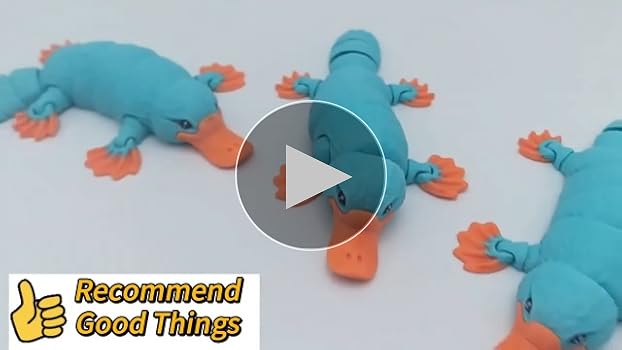 Amazon.com: 3D Printed Articulated Platypus Fidget Toys,3D