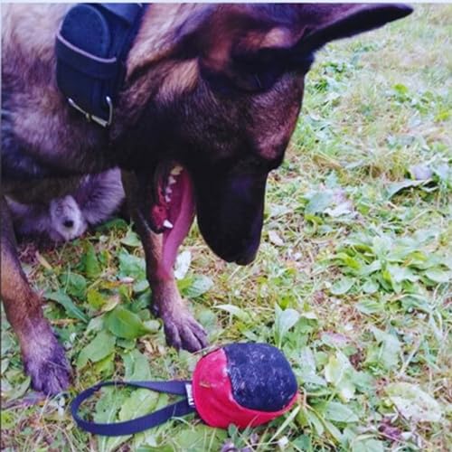 Dingo Gear Trainings-Spielzeug Nylcott French Material Training Spiel Apport IGP Obedience Apporte Spiel für Hund Klein Bäll, Rot S02780