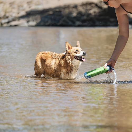 Chuckit! CH183101 Amphibious Bumper Small