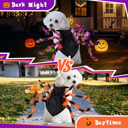 Costume d'Halloween pour chien araignée vêtement fête et cosplay - 3