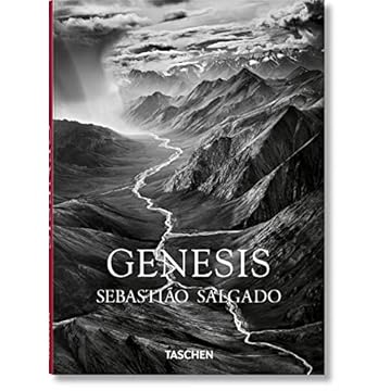 Capa do livro Salgado, Genesis