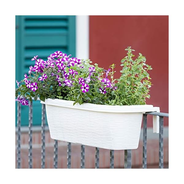 Apollo Exports International AP30312 24″ Adjustable Railing Planter