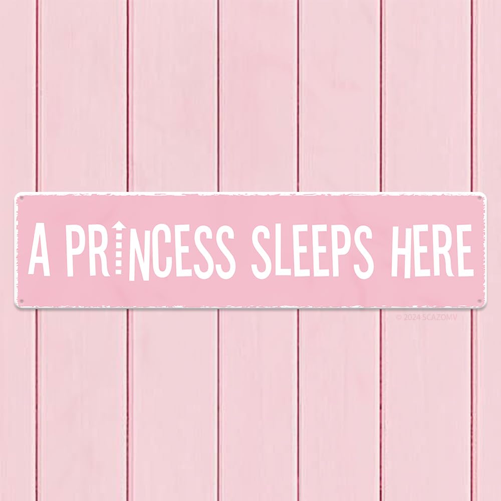 Amazon.com: A Princess Sleeps Here Orchid Pink Street Sign Vintage