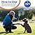 PWEZON Anti Dog Barking Device, Rechargeable Ultrasonic Dual Sensor Dog Barking Deterrent Anti Barking Device with Training/Deterrent Modes Dog Whistle Barking Control with LED Flashlight 25 FT Range