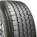 BFGoodrich Long Trail T/A All-Season Tire - 265/65R17 110T