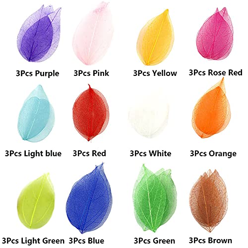 HAOBIN Natural Dry Leaves Dried Leaves Artificial Silk Leaves Decorative Leaves Craft Dry Leaves for Crafts DIY Resin Scrapbook Craft Card Making - Image 2
