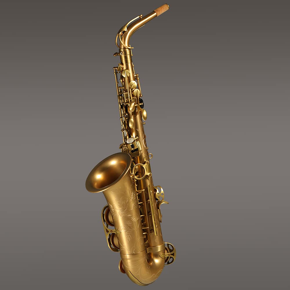 Rollins Saxophone alto RSA-X7-II, E flat Selmer 54-Key,Matière laiton,cuivre nu
