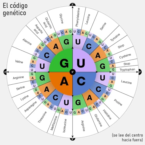 La Brújula de la Ciencia s15e06: El código genético, un diccionario para el ADN